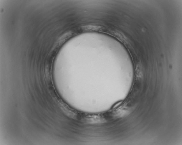 X0000079300377200612151733