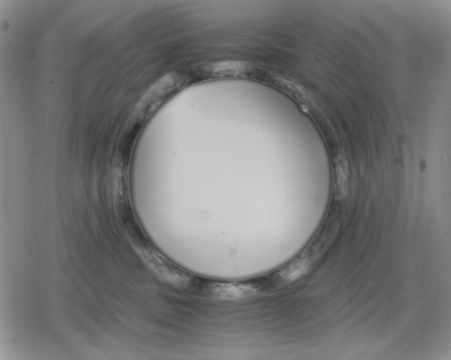 X0000079300379200612151733