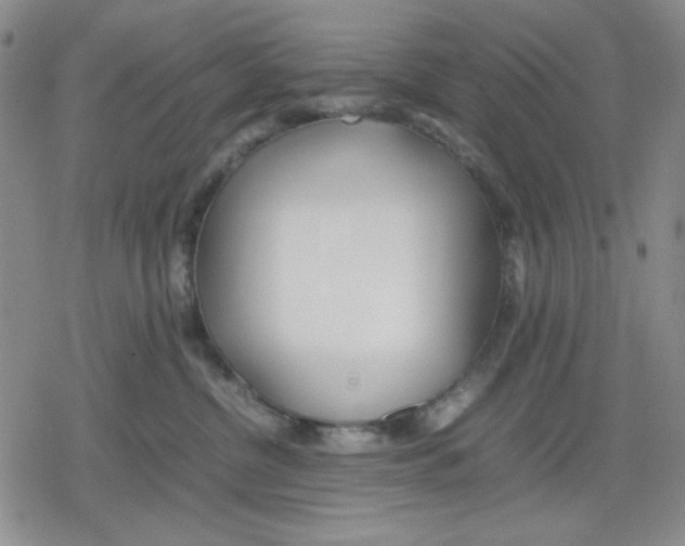 X0000079300380200612151733
