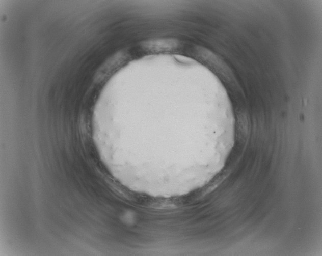 X0000079300381200612151733