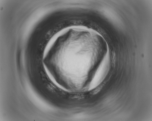 X0000079300383200612151733