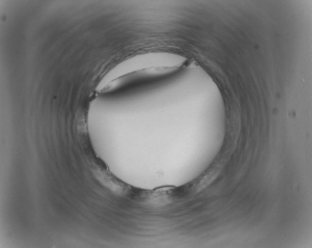 X0000079300384200612151733