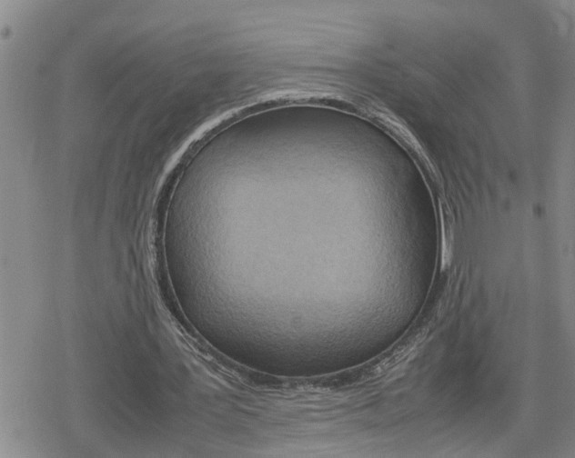 X0000079300387200612151732
