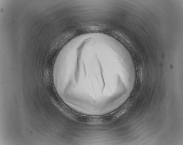 X0000079300410200612151732