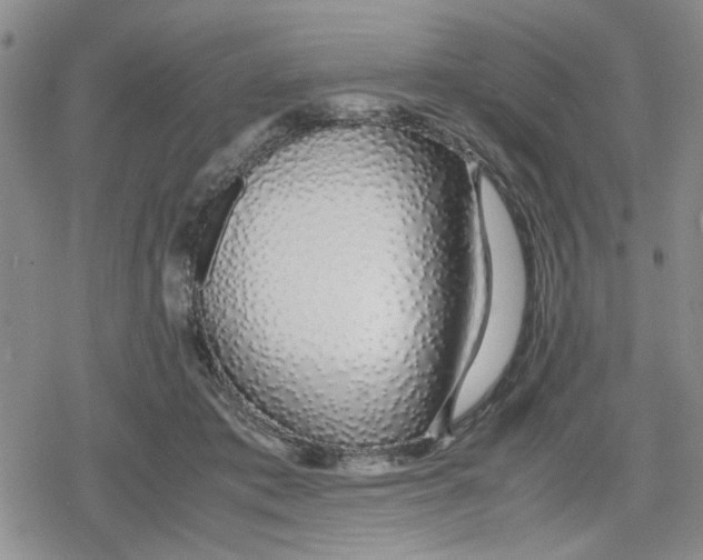 X0000079300413200612151732