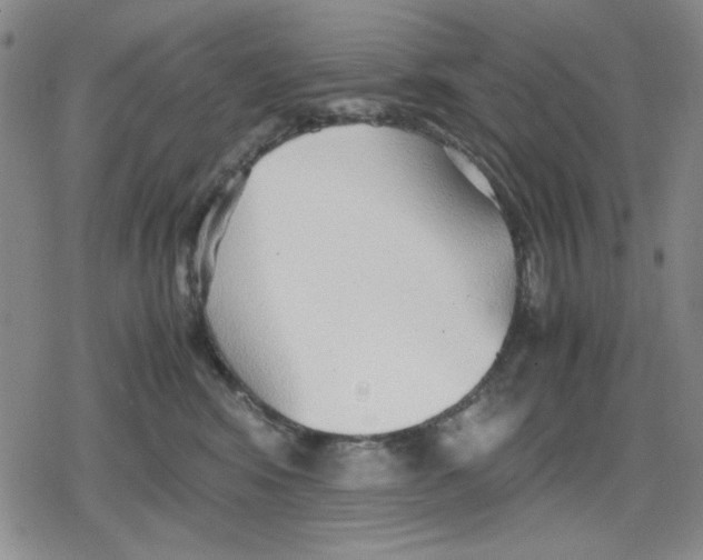 X0000079300424200612151732