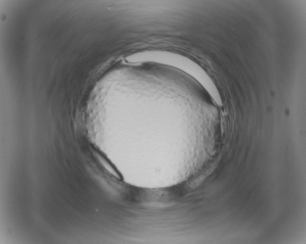 X0000079300429200612151732