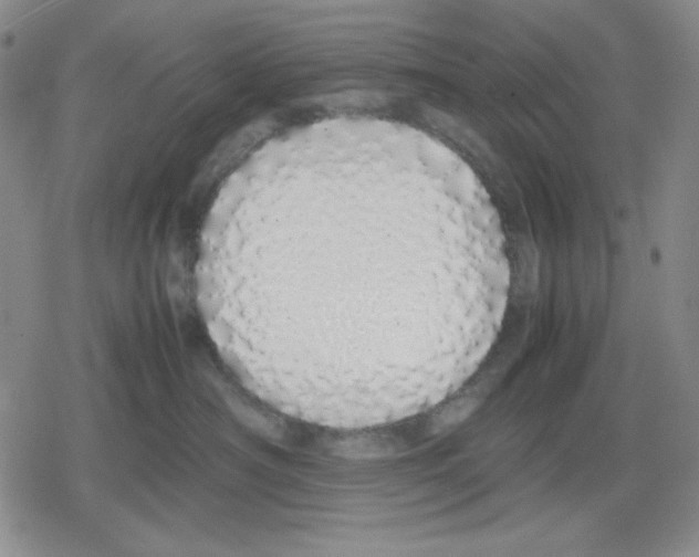 X0000079300430200612151732