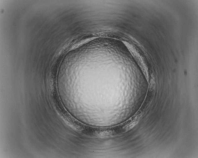 X0000079300452200612151731