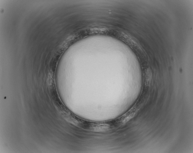 X0000079300463200612151731