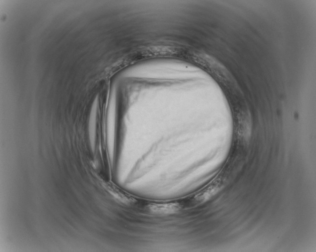 X0000079300465200612151731