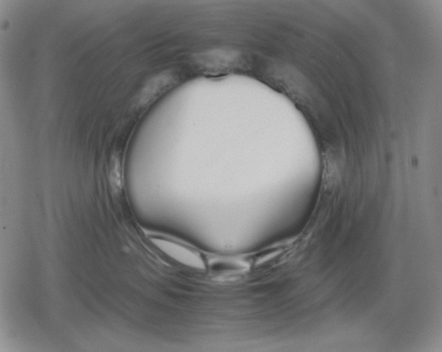X0000079300479200612151732