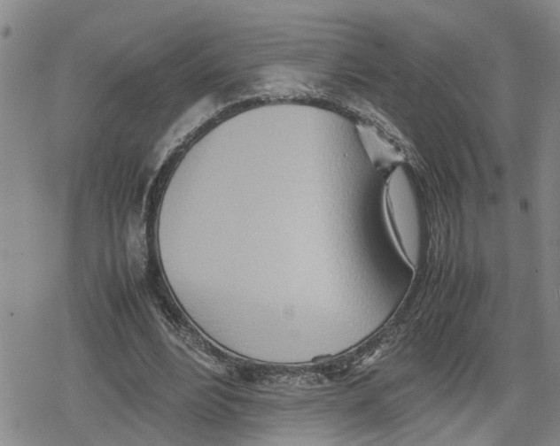 X0000079300488200612151731