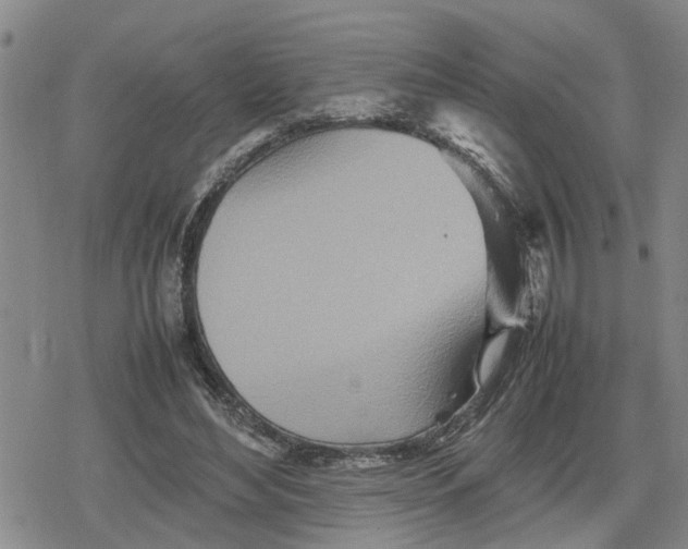 X0000079300492200612151731