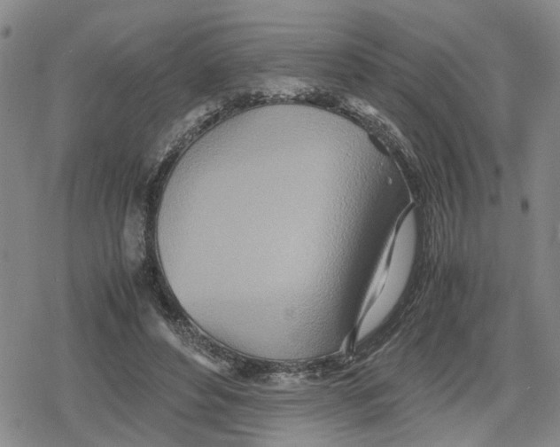 X0000079300496200612151731