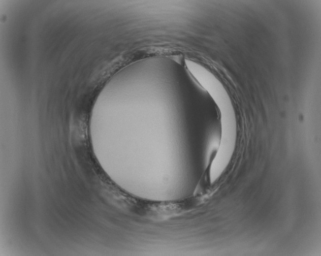 X0000079300517200612151730
