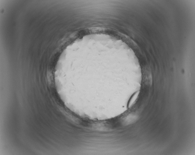 X0000079300523200612151730