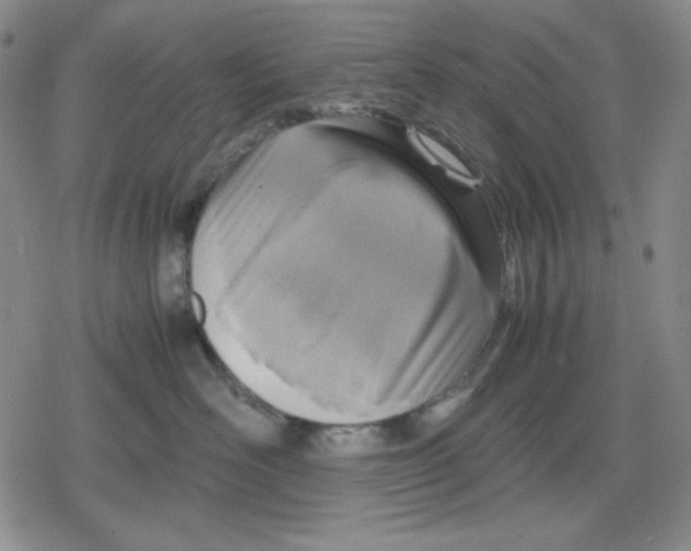 X0000079300526200612151730