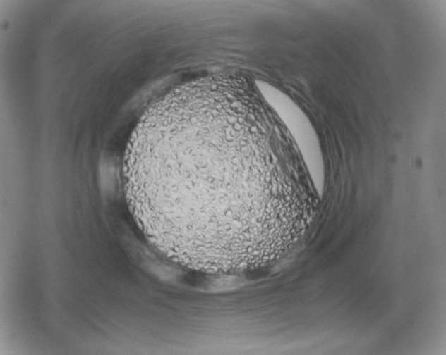 X0000079300527200612151730