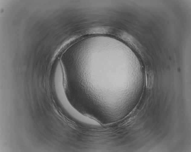 X0000079300531200612151729