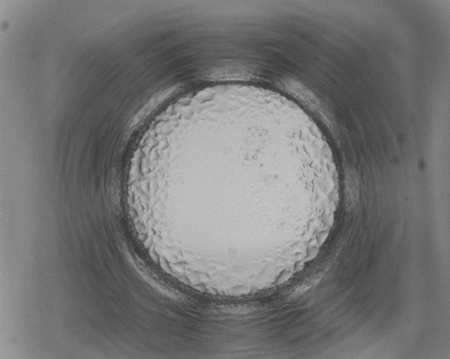 X0000079300533200612151729