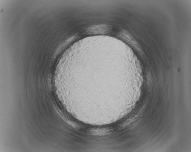 X0000079300537200612151729