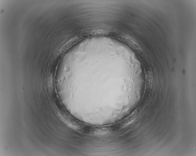 X0000079300550200612151730