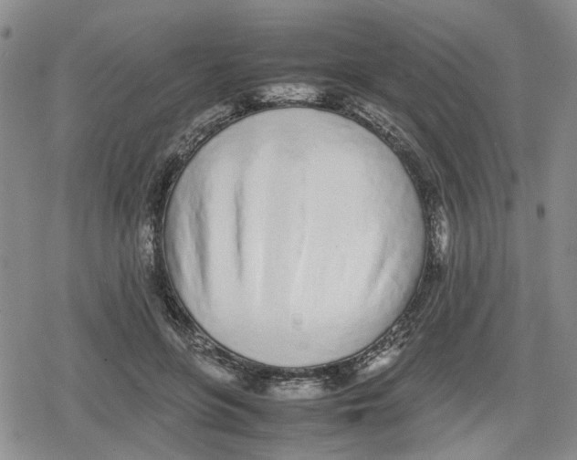 X0000079300551200612151730