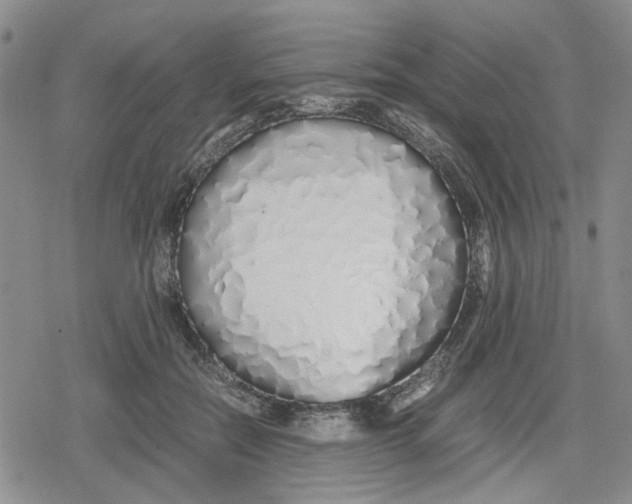 X0000079300554200612151730
