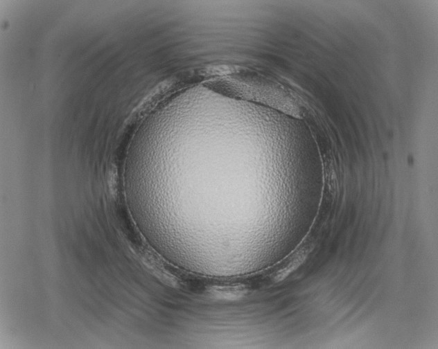 X0000079300556200612151730