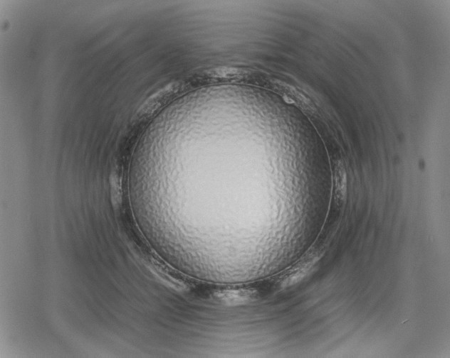 X0000079300558200612151730