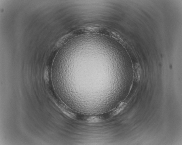 X0000079300562200612151730