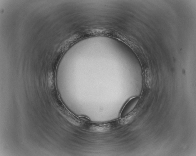 X0000079300563200612151730