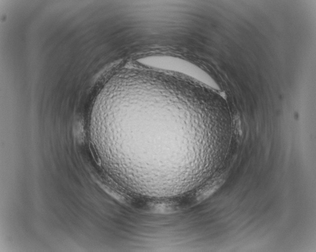 X0000079300564200612151730