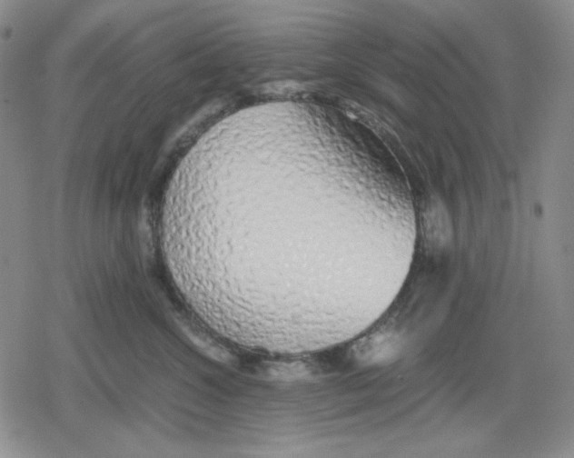 X0000079300572200612151730