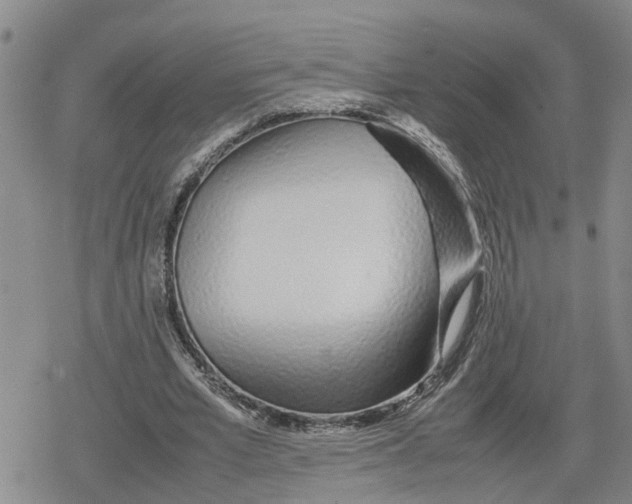 X0000079300581200612151729