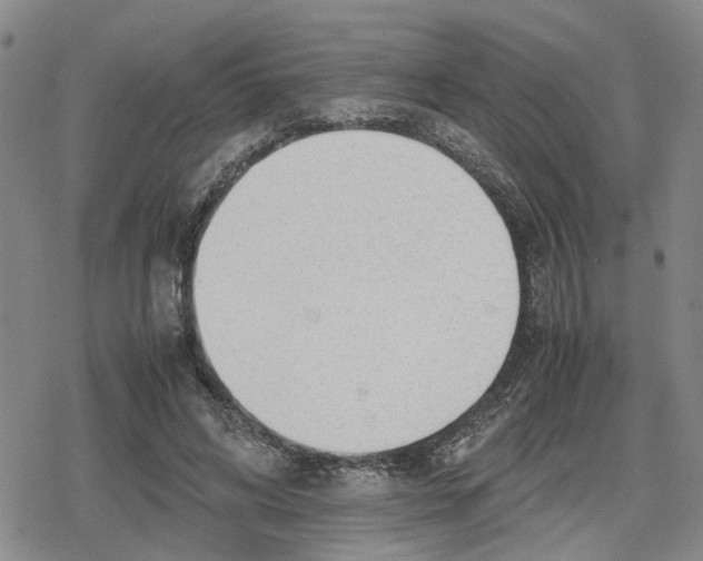 X0000079300592200612151729