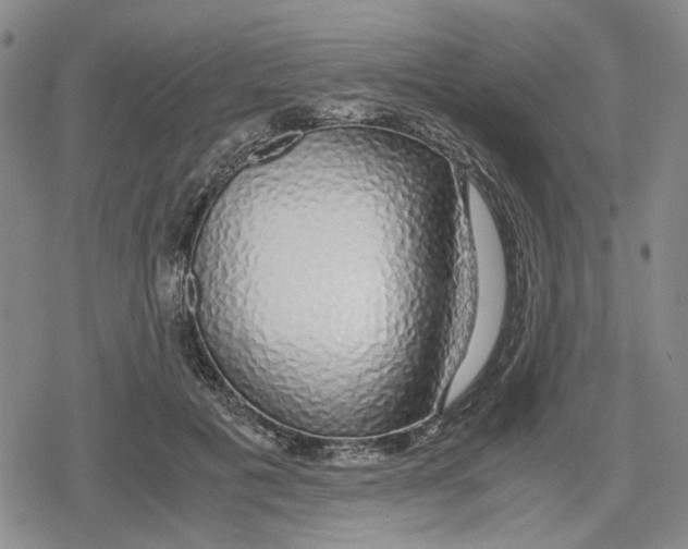 X0000079300601200612151729