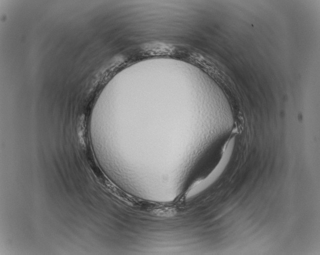 X0000079300604200612151729