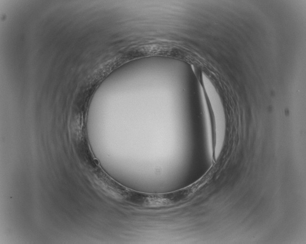 X0000079300605200612151729
