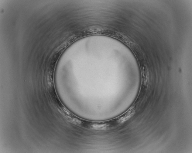 X0000079300606200612151729