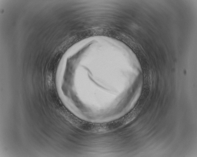 X0000079300610200612151729
