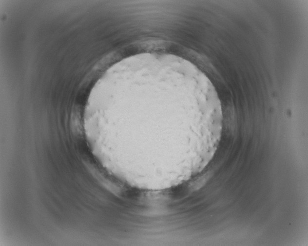 X0000079300622200612151729