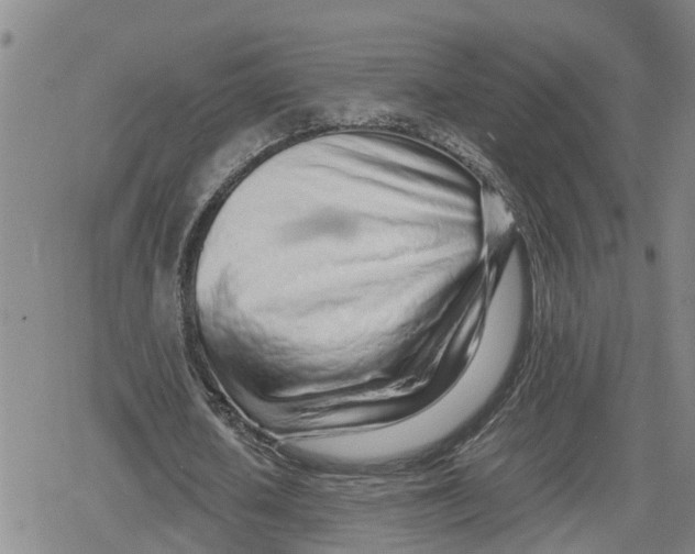 X0000079300626200612151728