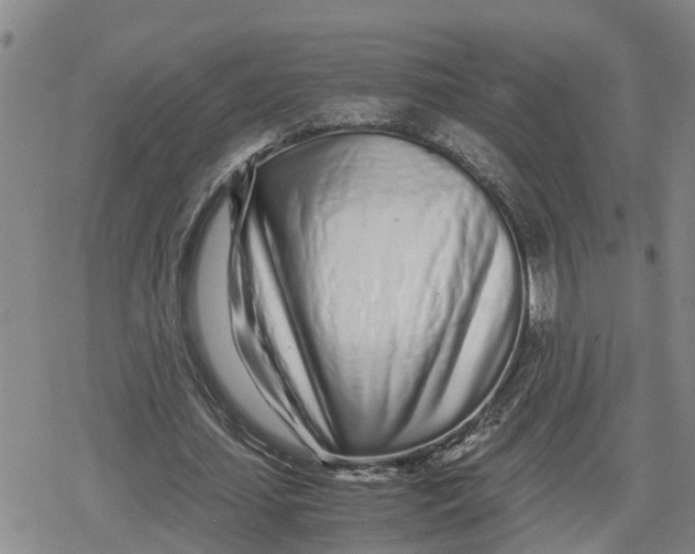 X0000079300627200612151728