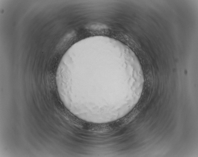 X0000079300659200612151728