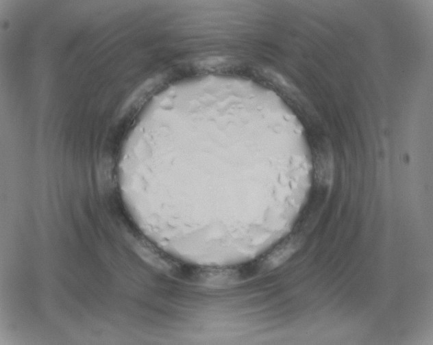 X0000079300670200612151728