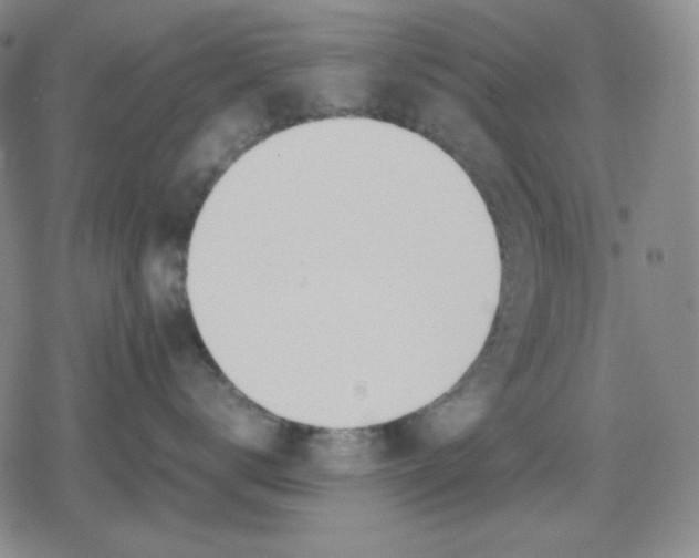 X0000079300672200612151728