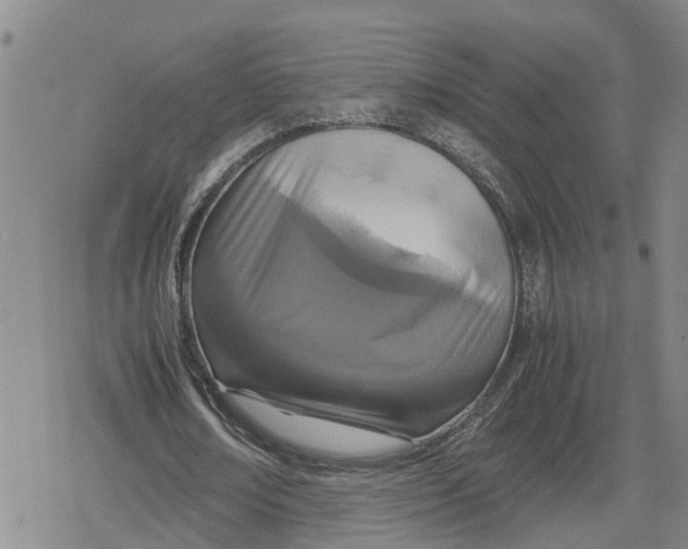 X0000079300674200612151728