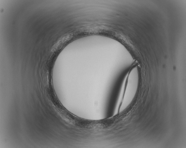 X0000079300685200612151727